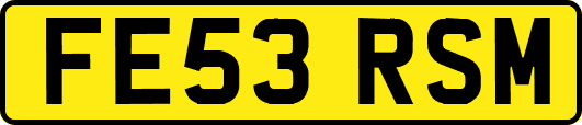 FE53RSM