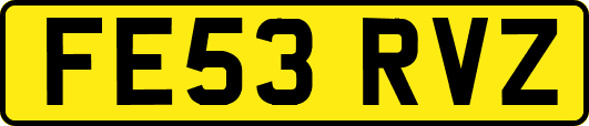 FE53RVZ