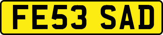 FE53SAD