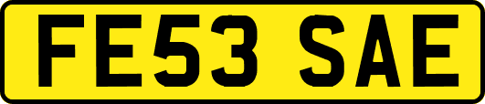 FE53SAE