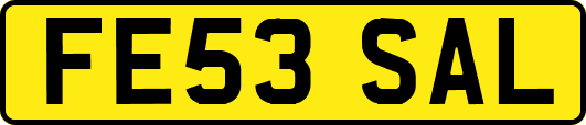 FE53SAL
