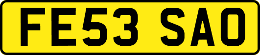 FE53SAO
