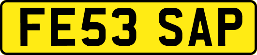 FE53SAP
