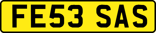 FE53SAS