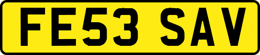 FE53SAV