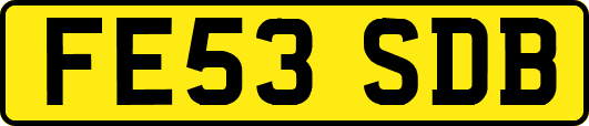 FE53SDB