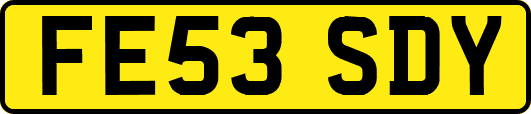 FE53SDY