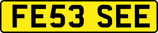 FE53SEE