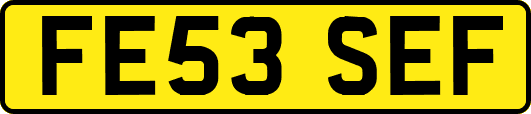 FE53SEF