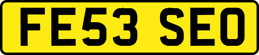 FE53SEO