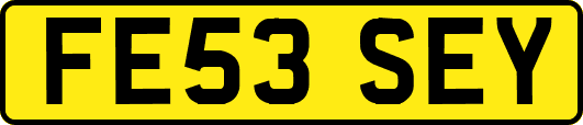 FE53SEY