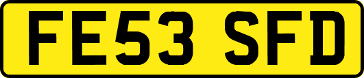 FE53SFD