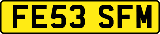 FE53SFM