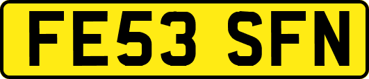 FE53SFN
