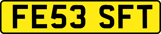 FE53SFT