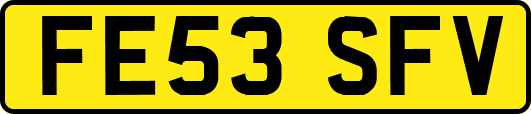 FE53SFV