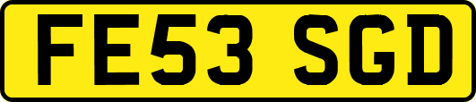 FE53SGD