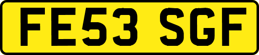 FE53SGF