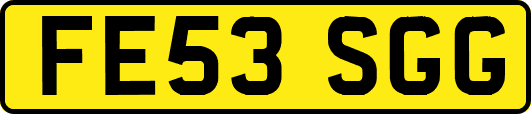 FE53SGG