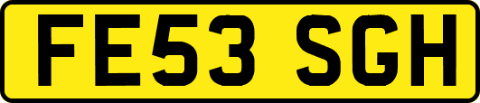 FE53SGH