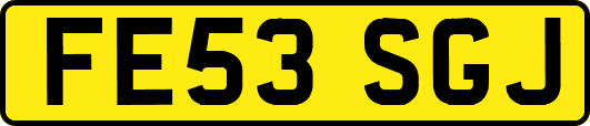 FE53SGJ
