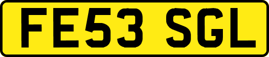 FE53SGL