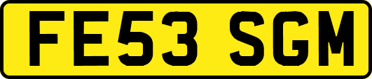 FE53SGM