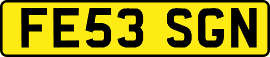 FE53SGN
