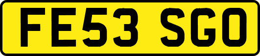 FE53SGO