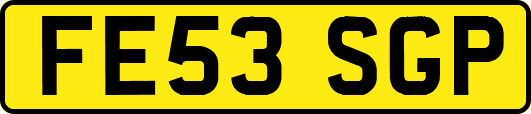 FE53SGP