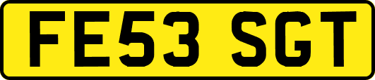 FE53SGT