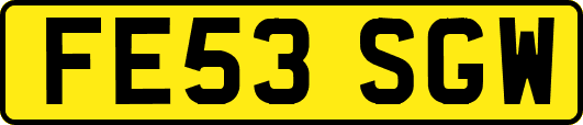 FE53SGW