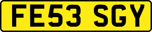 FE53SGY