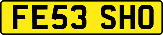 FE53SHO