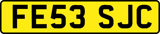 FE53SJC