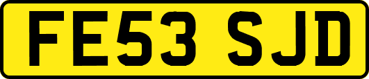 FE53SJD