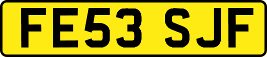 FE53SJF