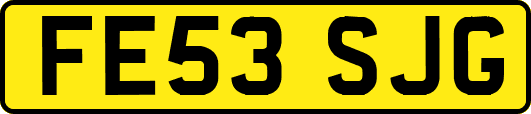 FE53SJG