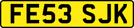 FE53SJK
