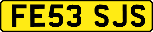 FE53SJS