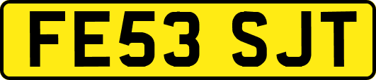 FE53SJT