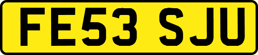 FE53SJU