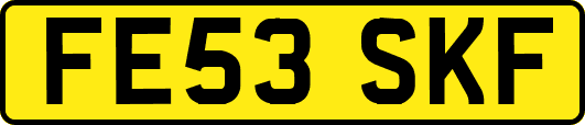 FE53SKF