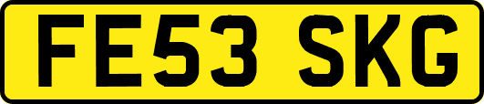 FE53SKG