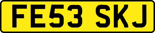 FE53SKJ