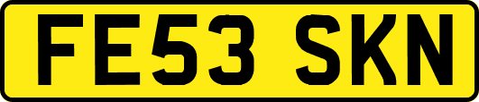 FE53SKN