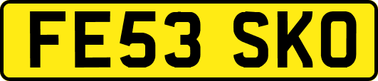 FE53SKO