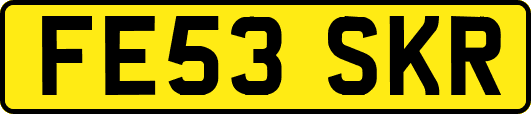 FE53SKR