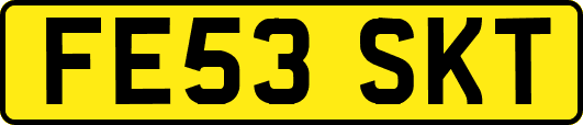 FE53SKT