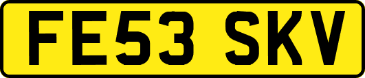 FE53SKV
